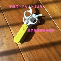 Item thumbnail for item ec39e881-219c-4e8e-aa26-84c544a8336f