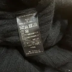 週末限定価格　スローブイエナ ウールラクーン　Vネック　リブニット セーター