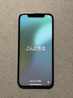 Apple iPhone 12 Pro 256GB グラファイト本体