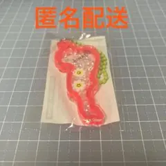 BIWAKO 琵琶湖 アクリルキーホルダー フラワー レッド