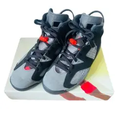 Air Jordan 6 PSG 28.5