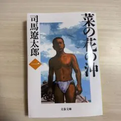 池房専好 立花 陽明文庫蔵 講談社 - メルカリ