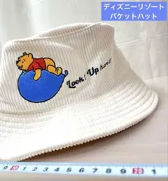 くまのプーさん　ディズニーリゾート　コーデュロイ　バケットハット　帽子　バケハ