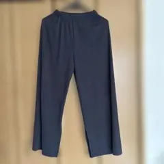 TRU BEプリーツ ワイドパンツ ブラック