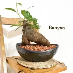 OwO様 リクエスト 3点 まとめ商品