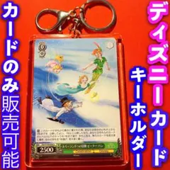 ヴァイス ディズニー 100 キーホルダー セット ピーターパン U