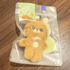 NCT127 ジャニ 10cmぬいぐるみ 新品未使用 2025年最新】nct ジャニ ぬいぐるみの人気アイテム - メルカリ