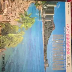 岡村靖幸 ラヴ・タンバリン 松岡英明 アナログレコード ゆうせん盤