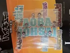 ハイキュー!! アクリルキーホルダー 青葉城西