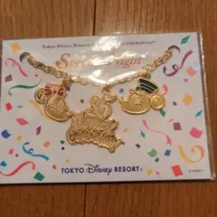 ディズニーリゾート35周年　バッグチャーム　キーホルダー