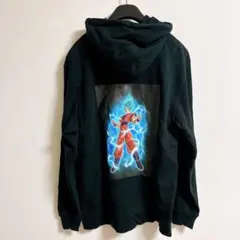 Item thumbnail for item 5d640d9f-9e4c-4498-a765-2422ab9935f0