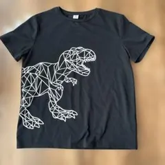 恐竜　黒　Tシャツ　13〜14歳のサムネイル
