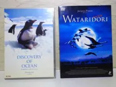 DVD　2点セット／ペンギン、動物、ディスカバリー　まとめ