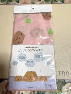 Item thumbnail for item 44fbc4bf-182a-4f2b-bf1c-a3dbb0438855