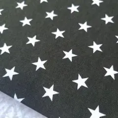 Item thumbnail for item a1d88717-661d-4b2c-8e27-bca052bddeb1