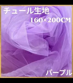 Item thumbnail for item f66dc03e-528c-4c78-819f-3abe8a1c9eaa