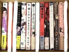 BL24冊まとめ売り バラ売り4冊699円〜