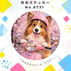 【送料無料❣️】シェルティ防水ステッカー スクーター 桜