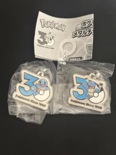 포켓몬 30周年 メタルチャームマスコット 2종 세트 꼬부기 カメックス