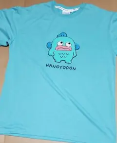 新品　ハンギョドン　アップリケ　TシャツMサイズ