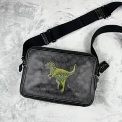 2025年最新】コーチ レキシー バッグの人気アイテム - メルカリ