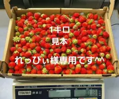 れっぴぃ様専用です^^