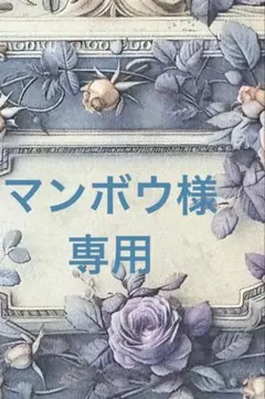 マンボウ様♡専用　海外.国内ステッカー