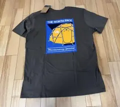 THE NORTH FACE 半袖Tシャツ USサイズXL
