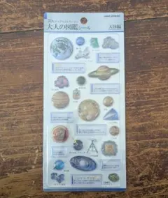 Item thumbnail for item 0eb88ee6-7a7b-4a88-9ab1-ccace9e4d0e0