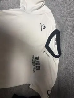 Item thumbnail for item 87d3e28e-afdf-4a83-a3be-ffd6a2246497