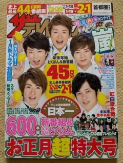 ザ・テレビジョン 2014 -2015 お正月超特大号