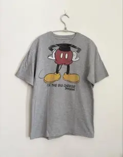 Disneyland ミッキーマウス Tシャツ グレー