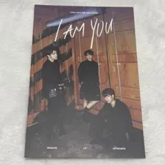 straykidsスキズ Iamyou ポストカード ウジン スンミン アイエン