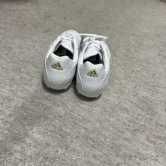 Item thumbnail for item a9884353-602b-4342-9911-4d6a70504ecb