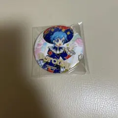 2026年最新】ドロシー プリパラ 缶バッジの人気アイテム - メルカリ