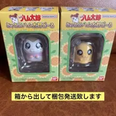 とっとこハム太郎どーる マフラーちゃん&ちび丸ちゃんセットBANDAI