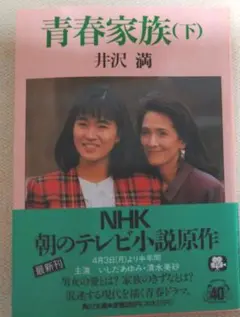青春家族 (下) 井沢満