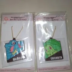 一番くじ　ポケモンコレクション　G賞ラバーチャーム　2種☆