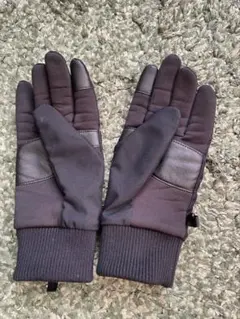 Item thumbnail for item d6ff0317-01f3-4f56-a655-19104e97b3ef