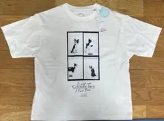 レディース　Tシャツのサムネイル