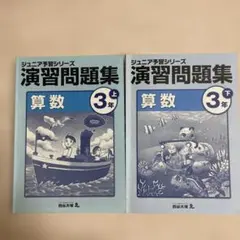 【a】ジュニア予習シリーズ２年生 セット ※画像は参考※【＋冬期】 ジュニア予習シリーズ 1年 2年 3年 四谷大塚 - メルカリ