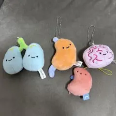 2025年最新】にんげんのからだマスコットの人気アイテム - メルカリ