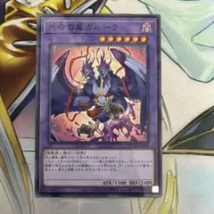 共命の翼ガルーラ　ノーパラ　ノーマルパラレル　25DB 共鳴