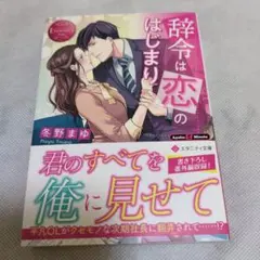 【エタニティ文庫】辞令は恋のはじまり　冬野まゆ