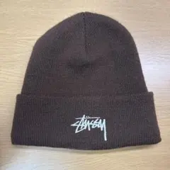 Stussy ブラウン ニット帽