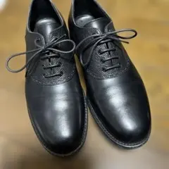 Item thumbnail for item 7b9ff454-e5ac-404e-bde3-d7bd9b5dd293