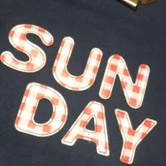 SWIMMER スイマー ハンドバッグ❗️