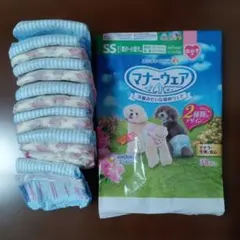 Item thumbnail for item f52c5af7-07a9-4bd0-8a8d-3d22dbfe4ddb