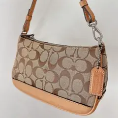 Item thumbnail for item b2faeb9c-d6a5-438e-b0c8-0c695fef6d11