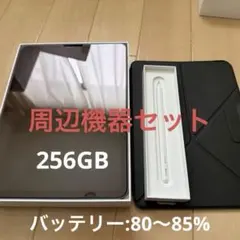 iPad Air4　256gb 付属品　pencil フィルムケース　付き